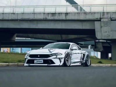 Mustang wide body paired with Airride for a ‘beautiful posture’ Mustang wide body paired with Airride for a ‘beautiful posture’