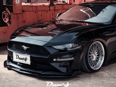Dwarf state Ford Mustang Airrde“A dark horse” Dwarf state Ford Mustang Airrde“A dark horse”